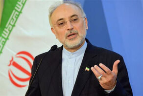 Iran to Disable IAEA Cameras If Sanctions Not Lifted in 3 Months