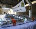 قائد أمنی: ضبط طنین من المخدرات فی محافظة خراسان الرضویة

