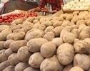 ورود سیب‌زمینی تنظیم‌بازاری برای کنترل قیمت‌ها