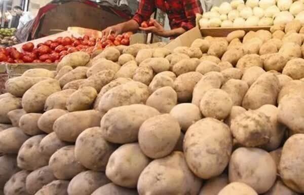ورود سیبزمینی تنظیمبازاری برای کنترل قیمتها