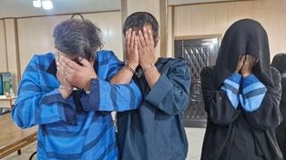 سرقت سریالی کامپیوتر پژو ۲۰۶ در تهرانپارس؛ زوج سارق دستگیر شدند