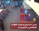 نورنما | خرسی شبیه وینی پو مهمان ناخوانده کتابخانه ای در کالیفرنیا شد