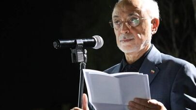صالحی: گفت‌وگوی صریح می‌تواند مانع تنش در روابط دیپلماتیک شود