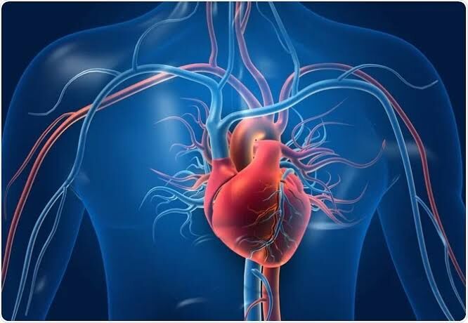 پیشگیری از اقدامات تهاجمی با تشخیص و درمان بهموقع بیماریهای دریچهای قلب