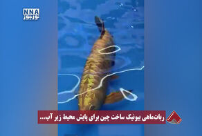 نورنما | ربات ماهی بیونیک ساخت چین برای پایش محیط زیر آب ...
