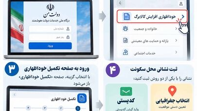 نوراینفو/راهنمای تصویری ثبت خوداظهاری کالابرگ؛ مراحل ورود به سامانه دولت من