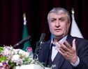 Sanctions, threats failed to halt Iran’s nuclear health industry: Eslami