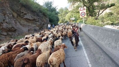 جاده کندوان امروز بسته شد؛ زمان بازگشایی اعلام می شود