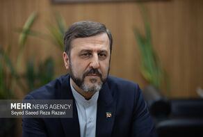Iran seeking constructive relations with neighbors: Dep. FM